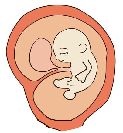 ����Ů��̥ͣ��Խ��Խ�࣬�⼸��С���������Ҫ�����ˣ�