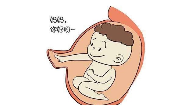 ʮ�»�̥�����㣨1~10���£��ĳ�ʵ�ý��飬����˳���ȹ���������