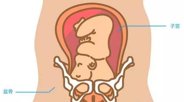 ���ڻ�Ҫ����ʹ��֮��ܹ�ʹ�������޷���������