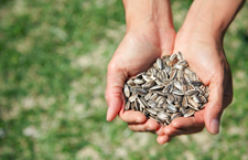 иʧ߳ʲô 6ʳʧ˵ݰ