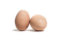 ڲѪʳ ׼챸