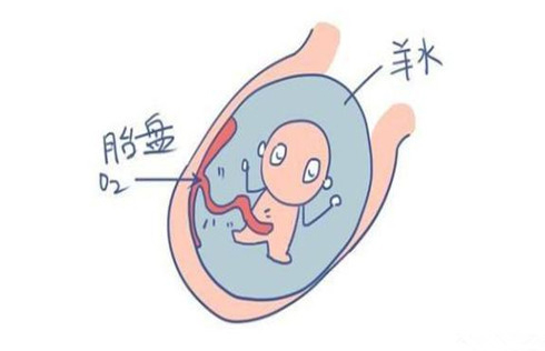 Ϊϸ⣺ʲôˮ