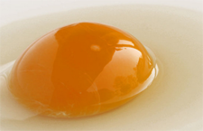 5иɤ۵ʳ óҩҲܺõÿ