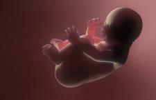 ʲô̥λ ׼Ҫ˽