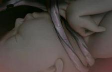 ֪ ƾ˳