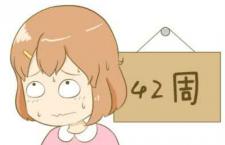 ﻹ˳ 俴
