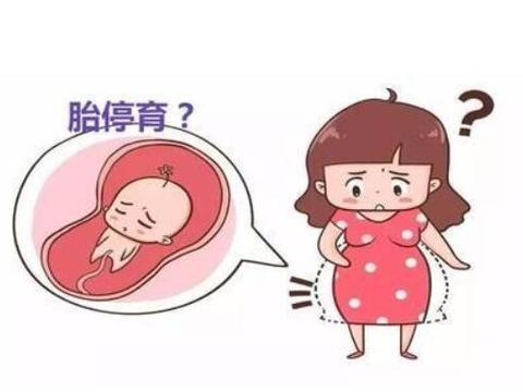 ̥֪ͣ٣Ԥ⽹