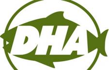 DHA ׼Ҫ֪